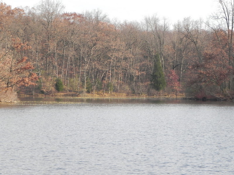 Hiland Lake Putnam Twp Michigan